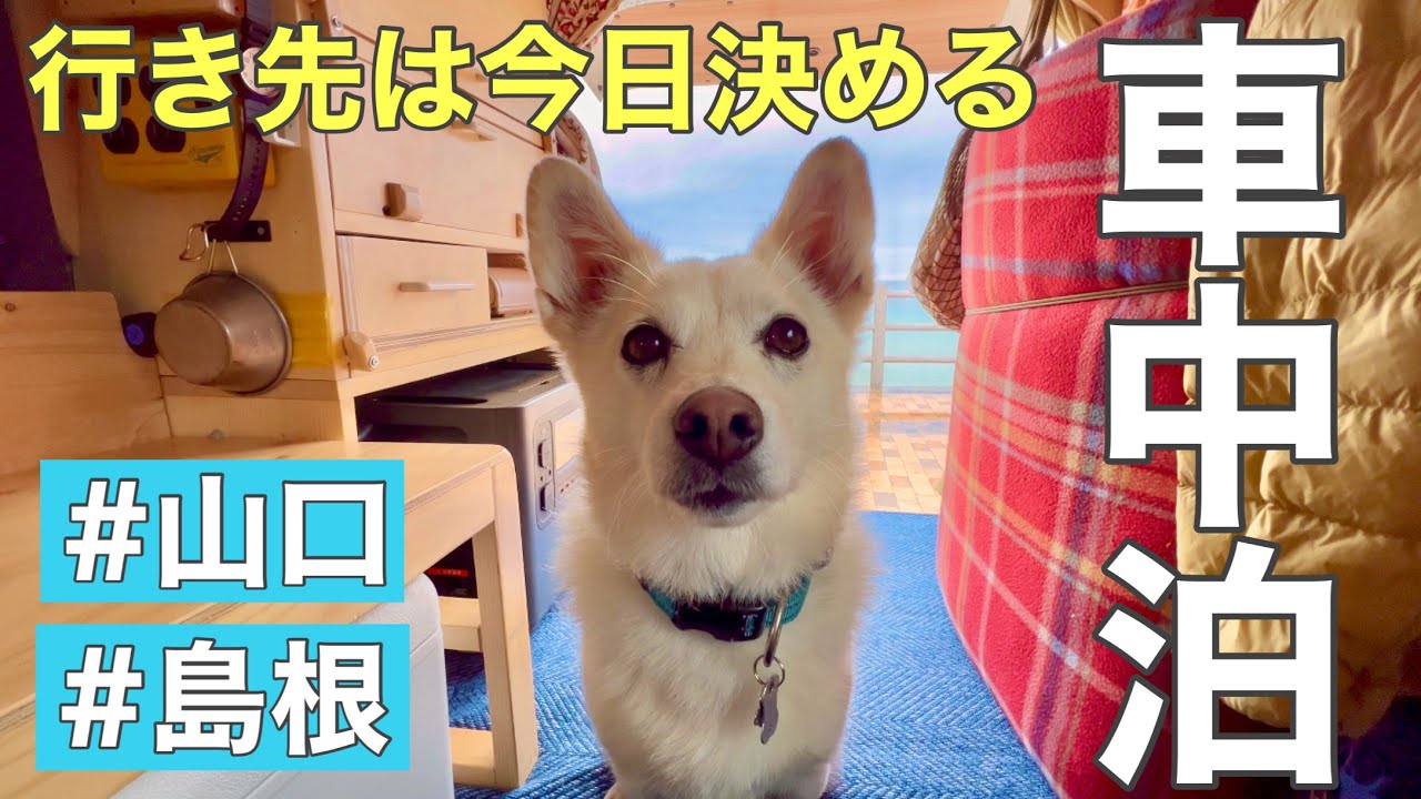 【ひとりと1匹】行き先は今日決める、行き当たりばったりの車中泊旅