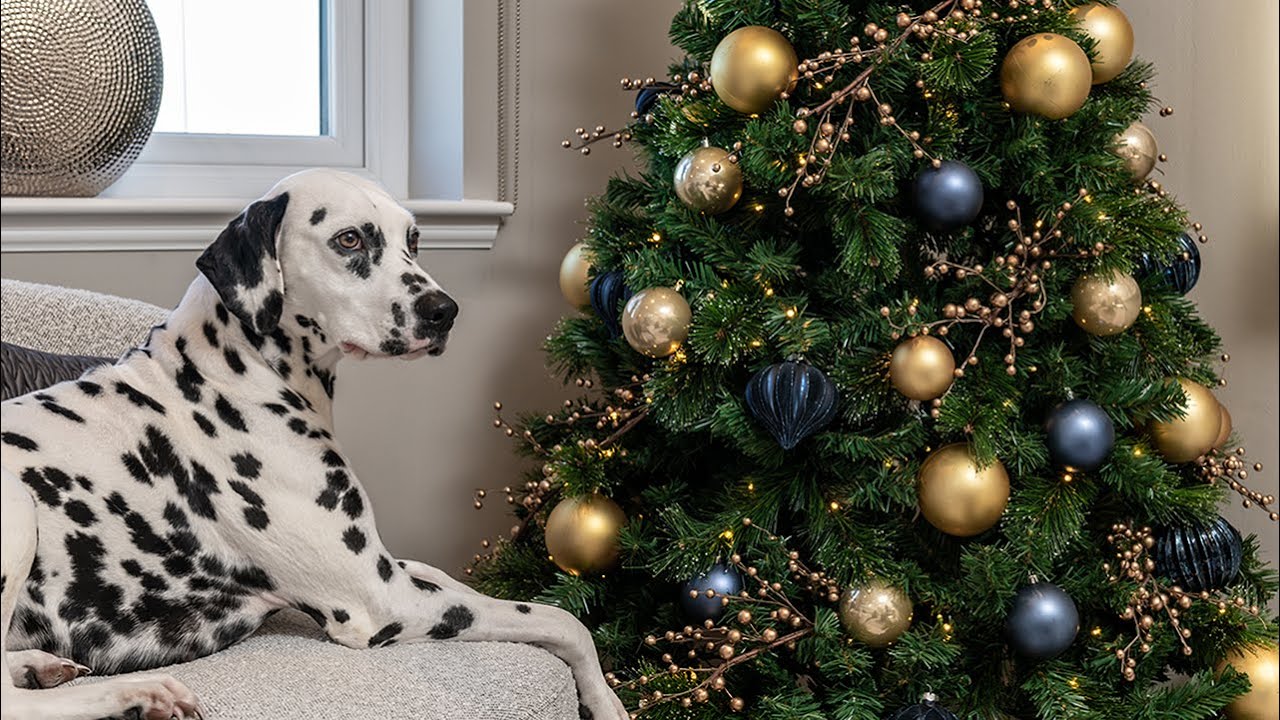 Unwrap the Ultimate Gift with Bancon Homes this Christmas.