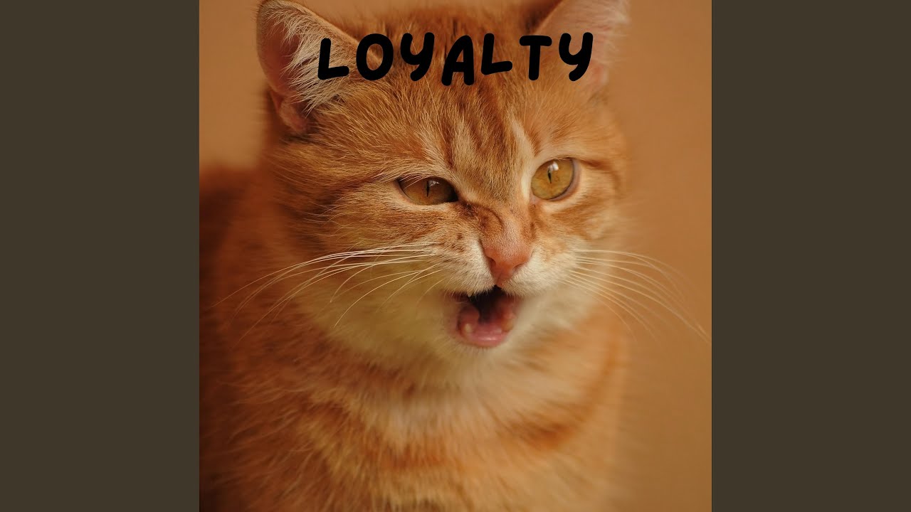 Loyalty