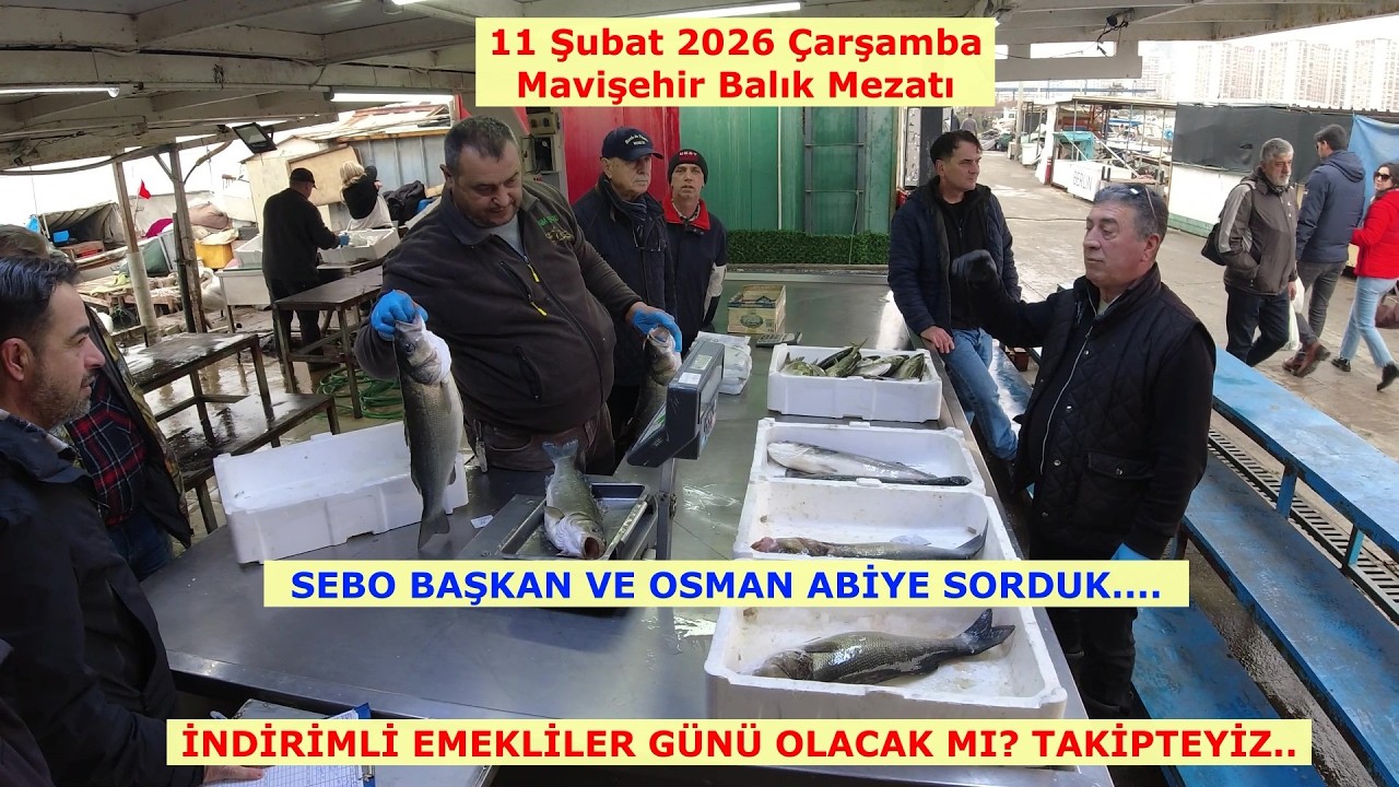 MAVİŞEHİR MEZATTA İNDİRİMLİ EMEKLİLER GÜNÜ OLACAK MI? SEBO BAŞKAN VE OSMAN ABİ'YE SORDUK..