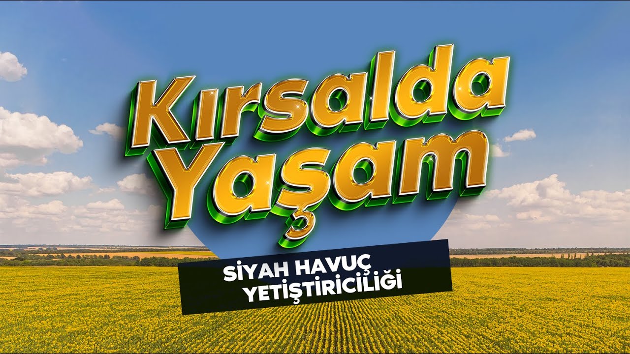 KIRSALDA YAŞAM | Siyah Havuç Yetiştiriciliği