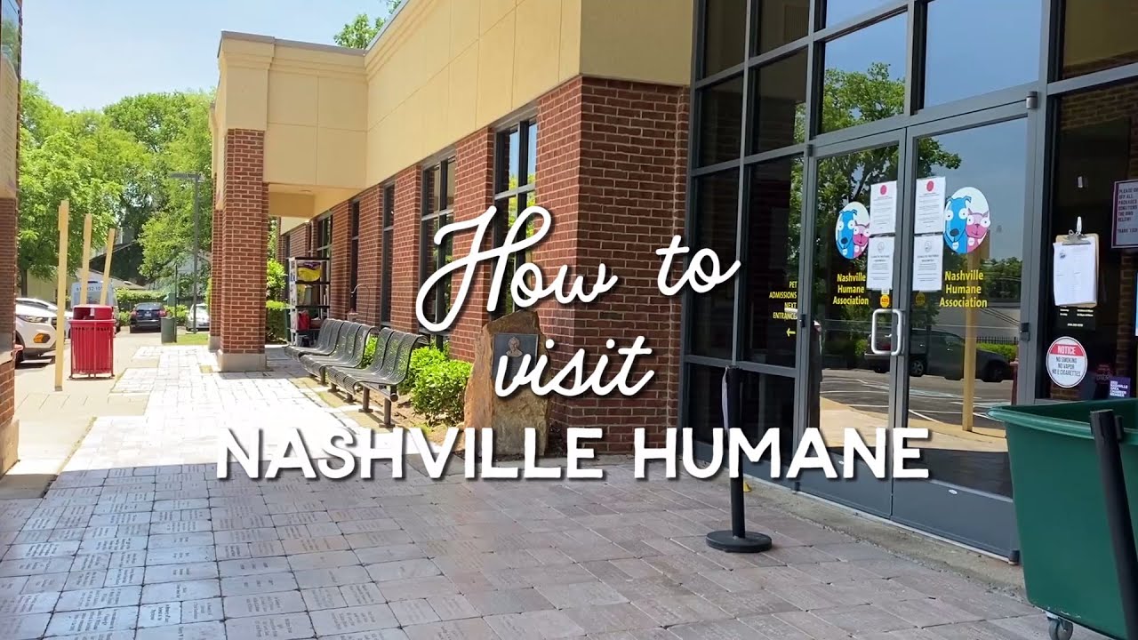 How to Visit Nashville Humane