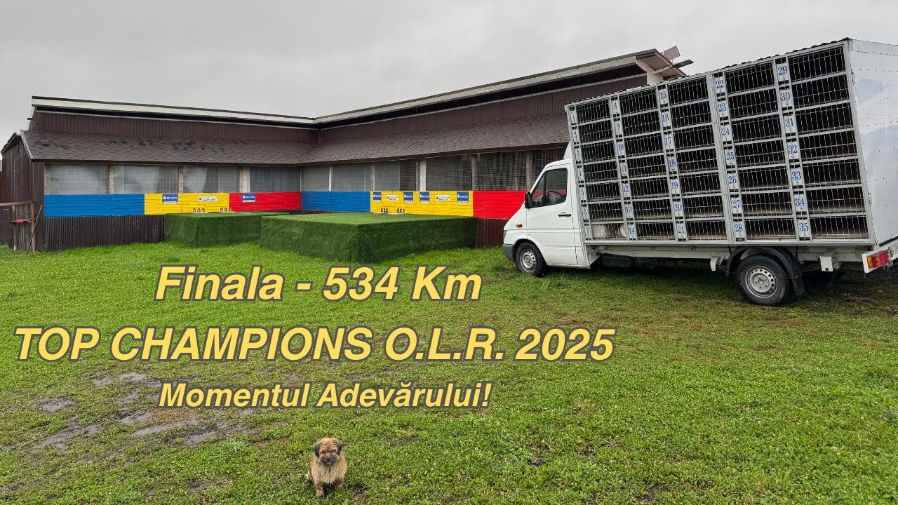 TOP CHAMPIONS OLR. 2025 – Finala de 534 KM | Momentul Adevărului!