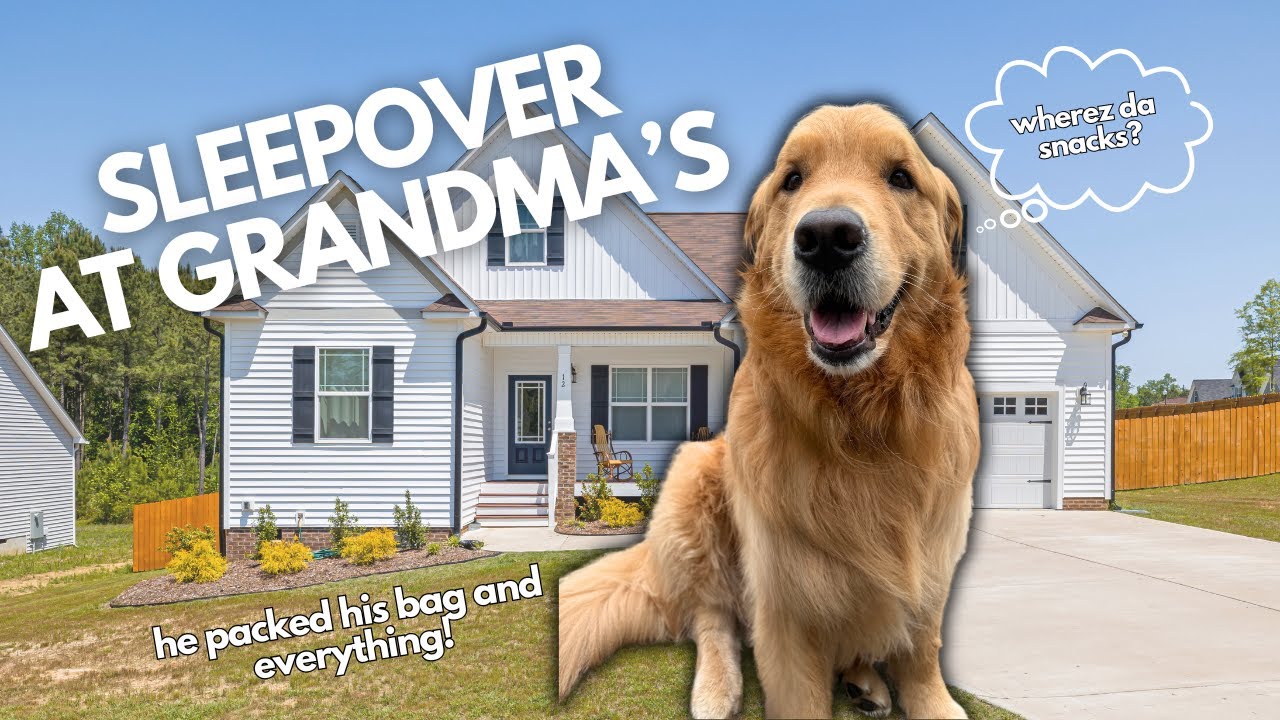 My Dog Packed His Bag for a Sleepover at Grandma’s | Emotional Golden Retriever Storytime