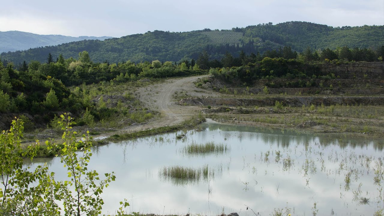 Abandoned quarry spontaneous renaturalization (Original soundscape)