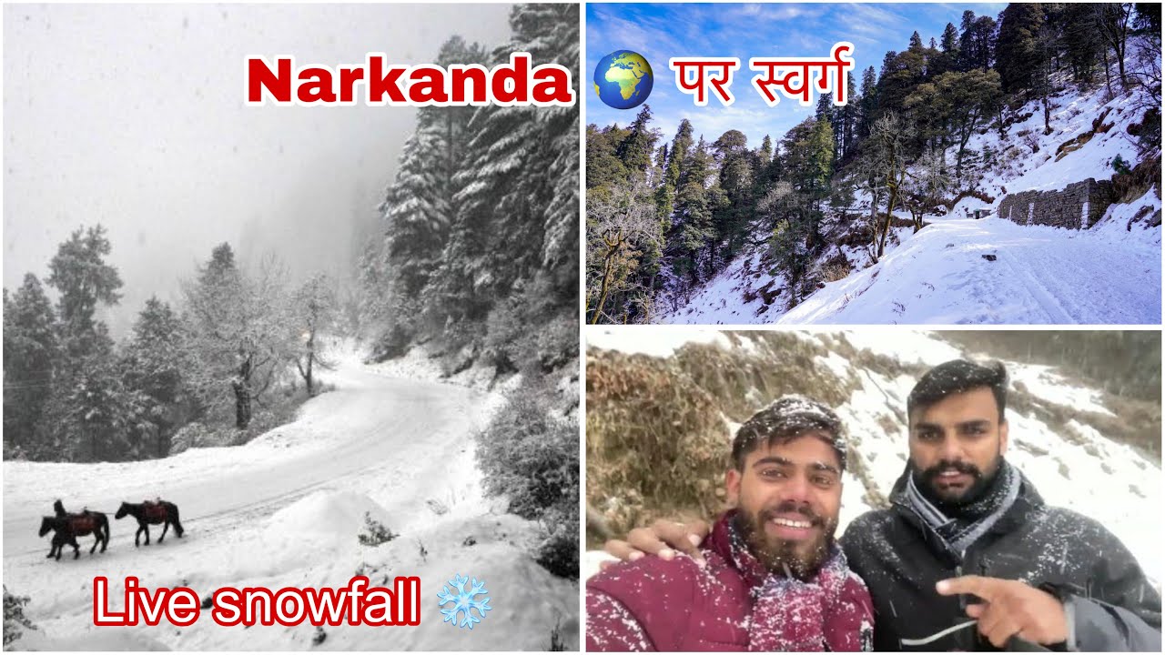 Heaven on Earth! Narkanda Shimla Live Snowfall Experience ❄️