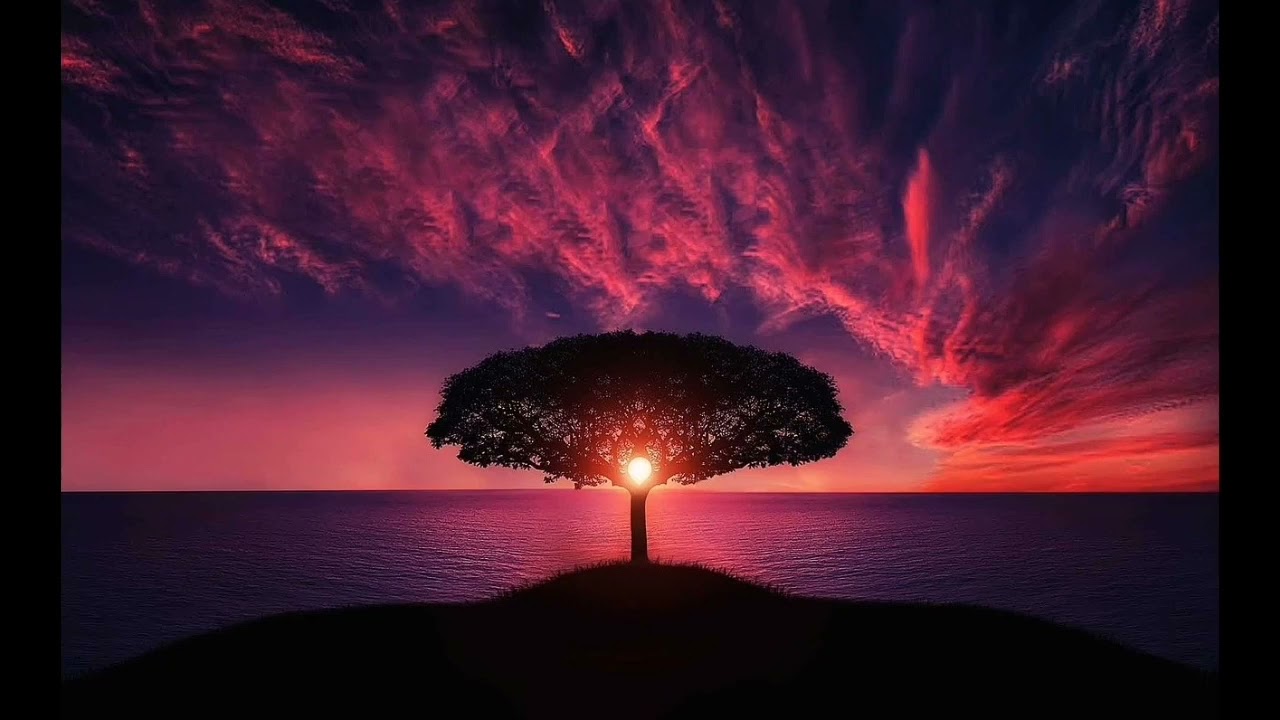 أفرأيت من إتخذ إلهه هواه القارئ خالد الجليل