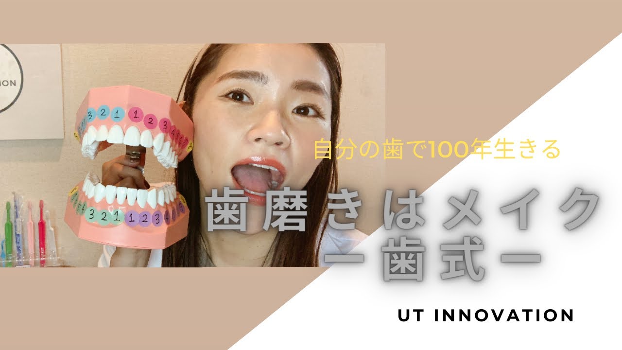 歯磨きはメイク  ー歯式ー