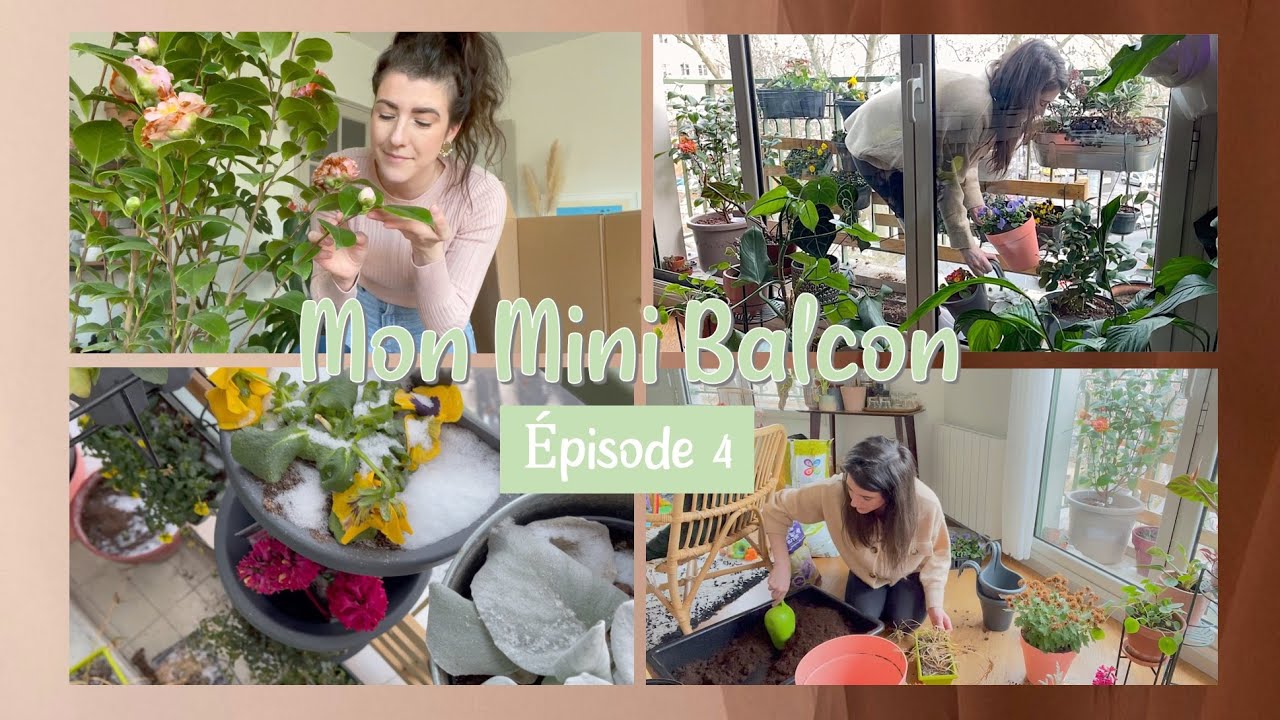 Mon mini Balcon #4 feat. mon nouveau Camélia et ... la Neige !