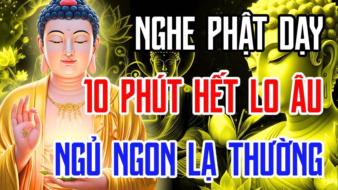 Mỗi Đêm Nghe Lời Phật Dạy Này Trước Khi Ngủ – Chữa Lành Tâm Trí, Hết Lo Âu, Ngủ Ngon Lạ Thường
