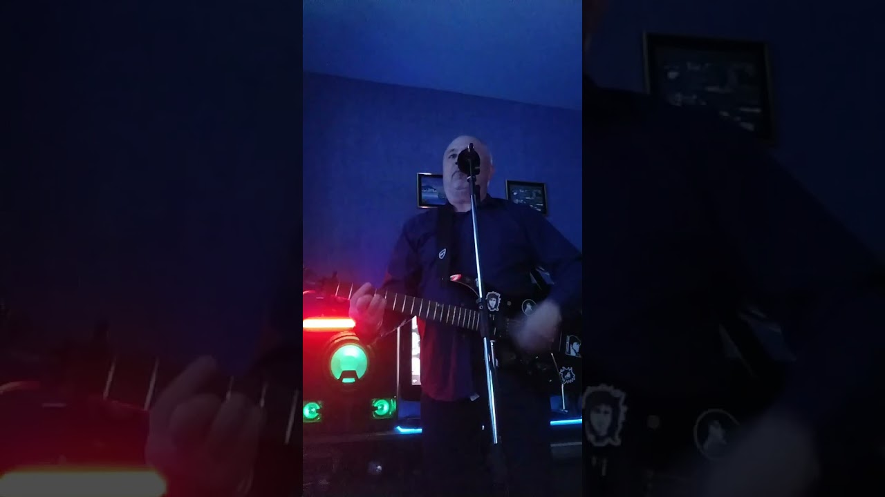 Дельфин- Весна