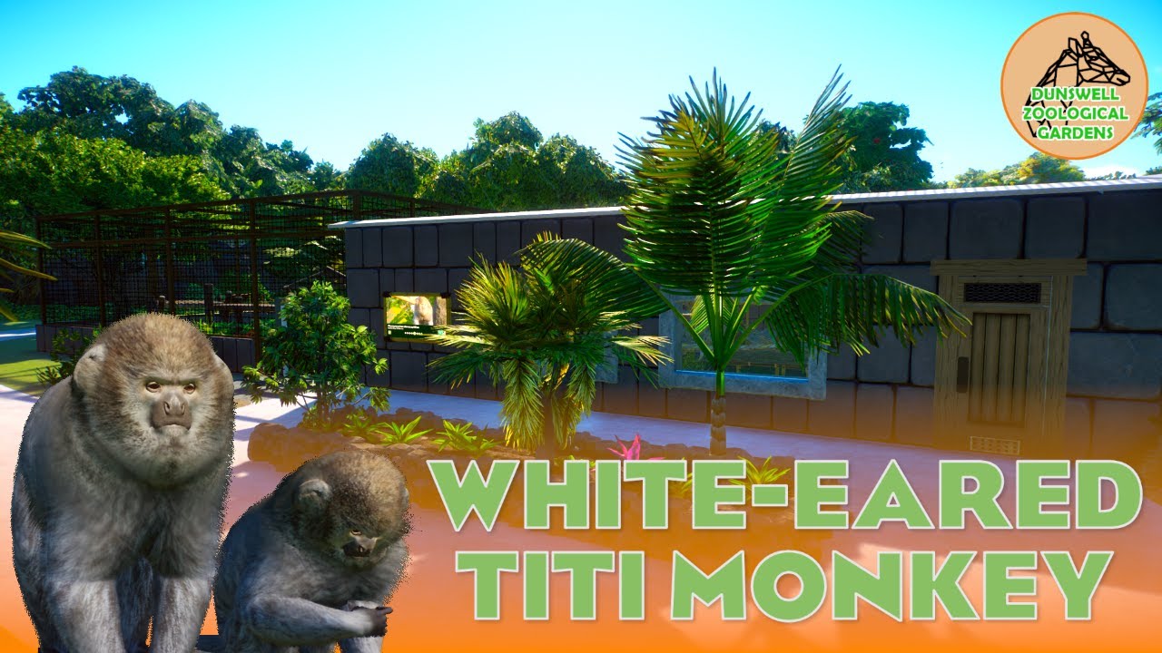 WE ARE THE TITI GIRLS! || EP16 || DUNSWELL ZOO || PLANET ZOO