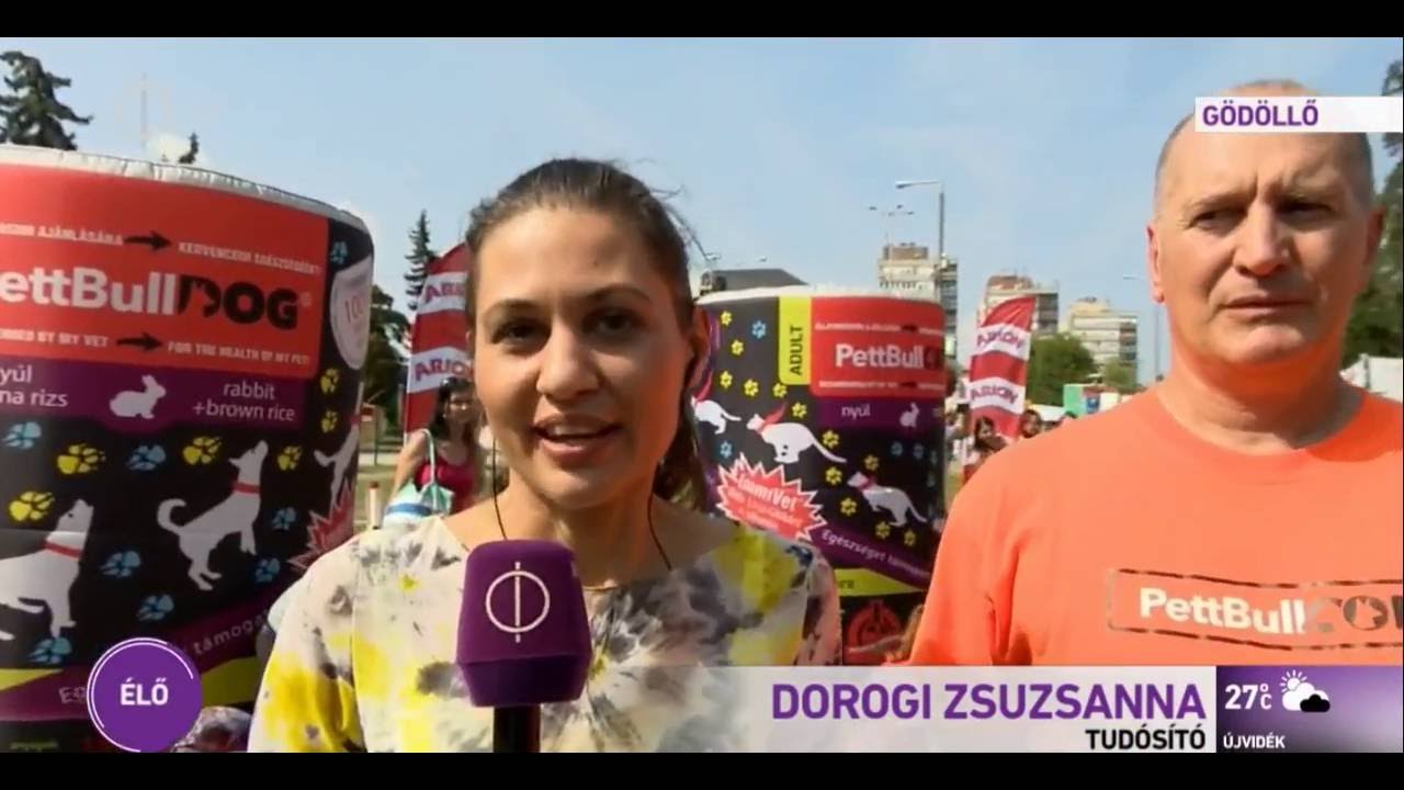 PettBull Funkcion&aacute;lis &aacute;llateledel evő vereseny G&ouml;d&ouml;llő 2016. Ebugatta piknik.