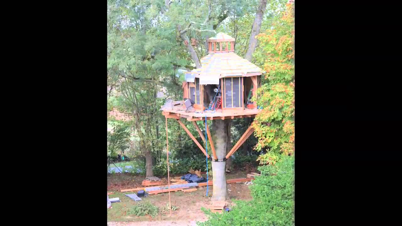 Au Bosq Treehouse timelapse.
