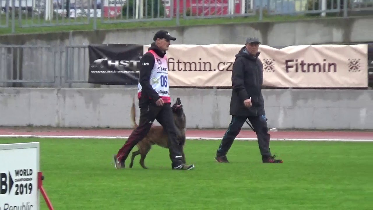 Tomáš Louda - Bouí z Údolí Jizery FMBB 2019 - WC obedience 83 points