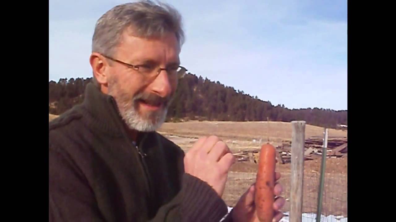 3 Ways To Store Winter Carrots