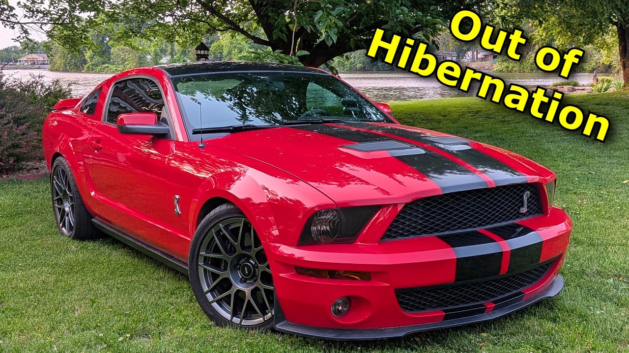 Ripping my Cammed 07 GT500 | Weird water drainage issues and maintenance