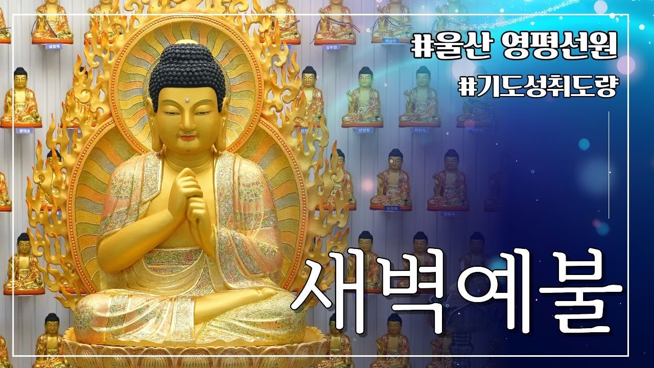 고요한 새벽, 마음이 깨어나는 시간... 영평선원 새벽기도 2026.02.20.