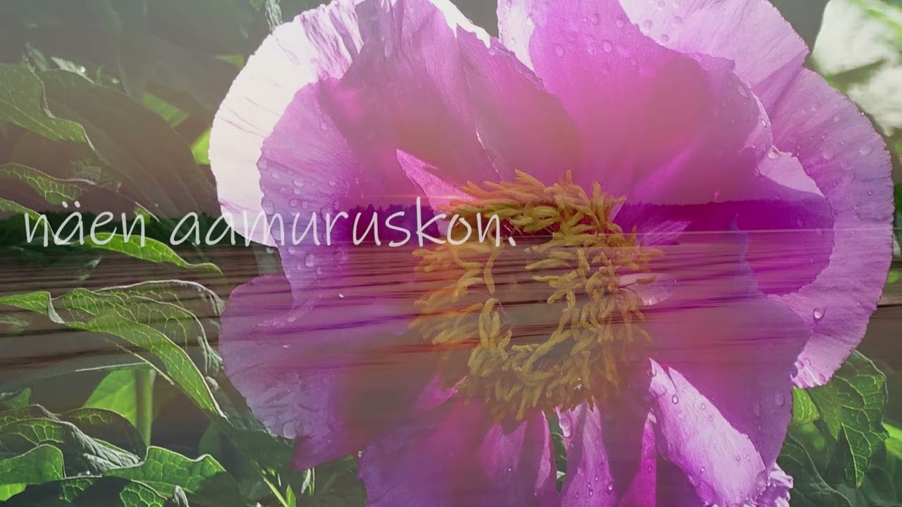 Tänään häneen uskon