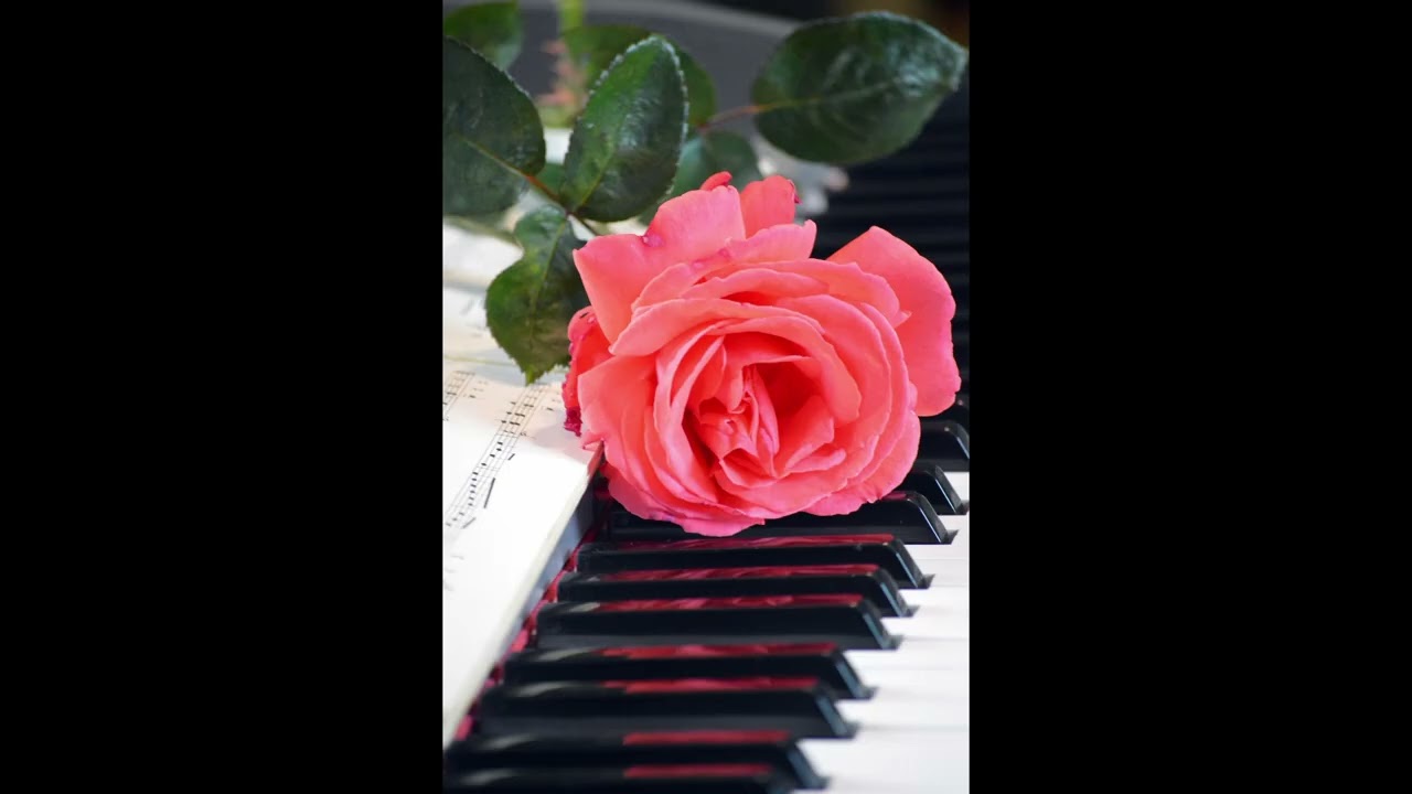 Beethoven - Pathetique Sonata,  Opus 13 - Piano - 1st Movement