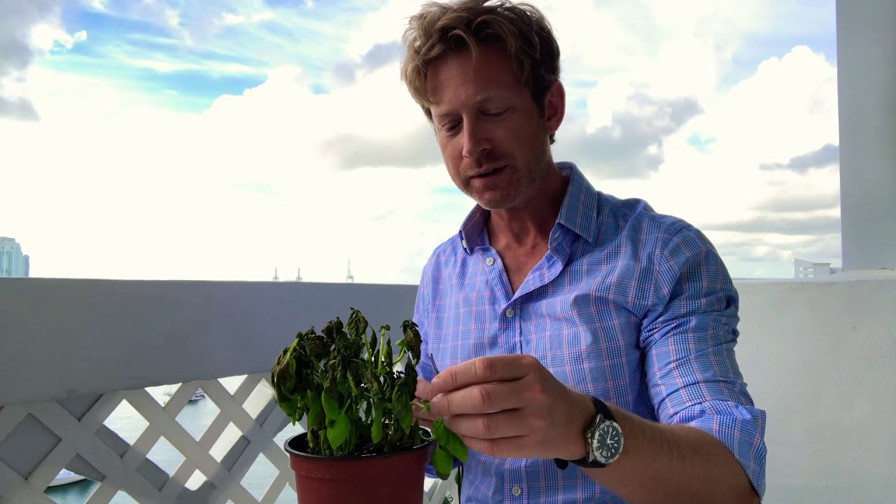 James Robinson explains how trimming a plant is similar to your life... inspired by keynote speakers