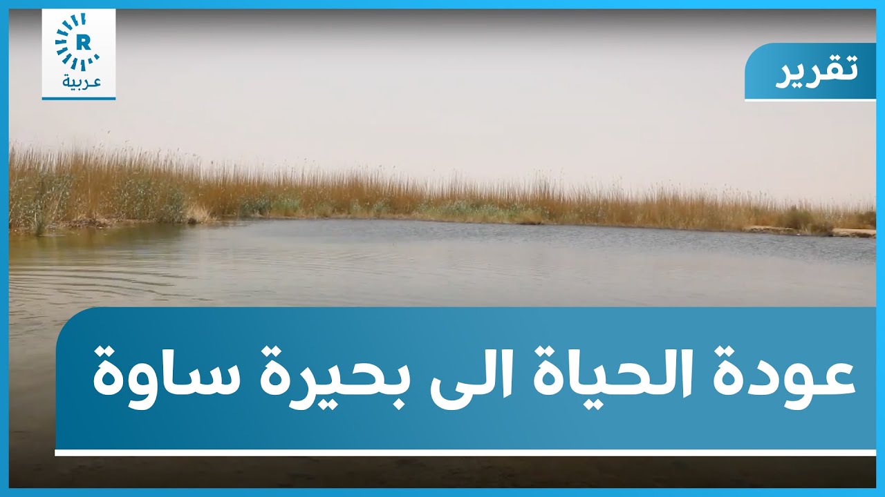 الحياة تعود إلى بحيرة ساوة لكن بخطوات خجولة