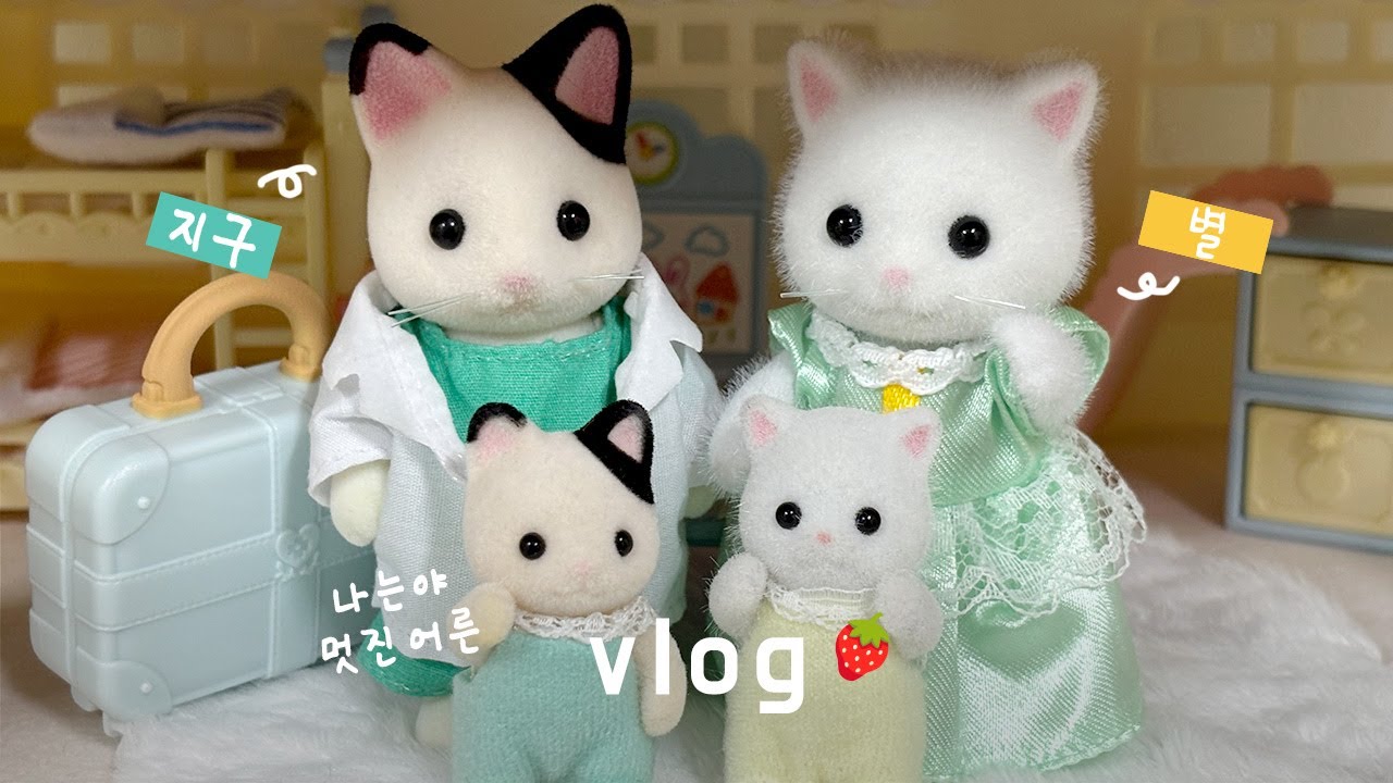 인형계 브이로그🤍 나는야 멋진 으른😎 폭풍 성장한 지구별 남매?! 마지막 반전주의 | 실바니안 패밀리