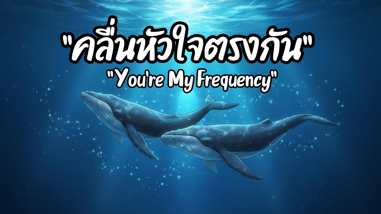You’re My Frequency | เธอคือคลื่นที่ตรงกับหัวใจ (Official MV)