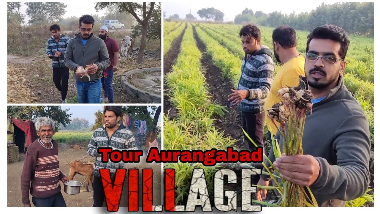 Aurangabad ke Gaon bohat khubsurat hai by Asif STD STAR GOATS FARM Trust in Best