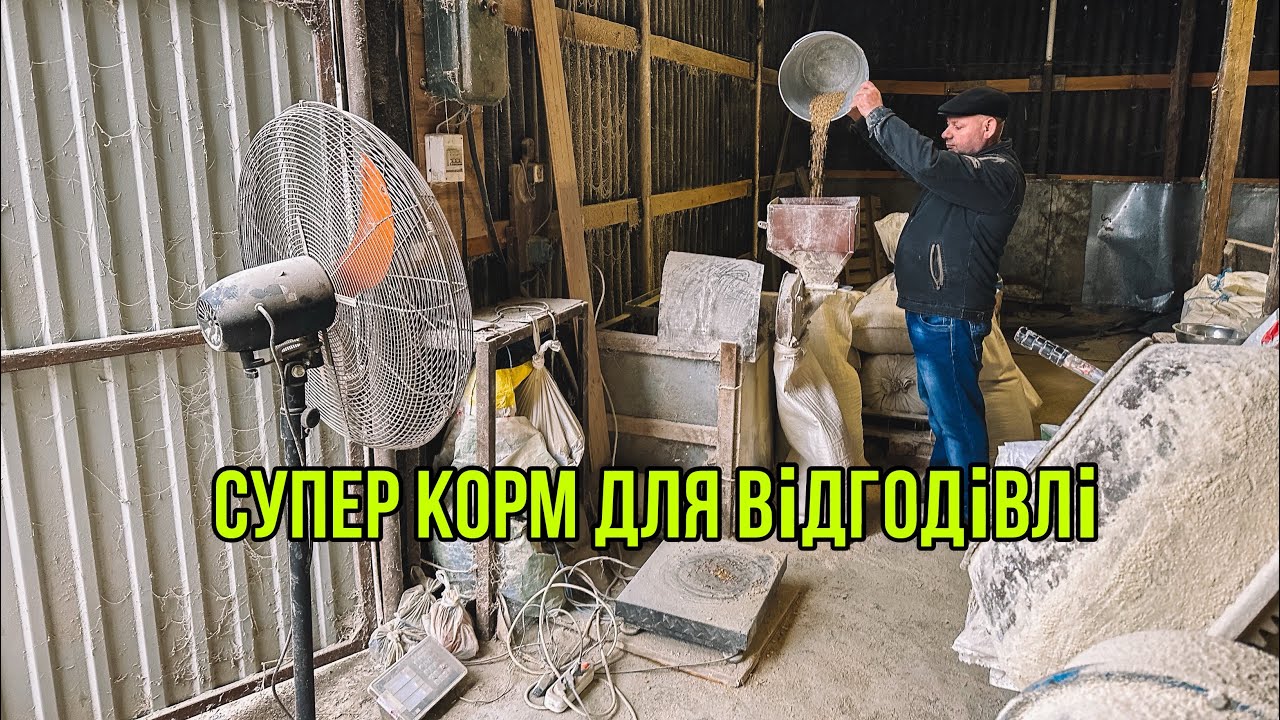 Корм для відгодівлі🐖5 місяців 160 кг 🔥