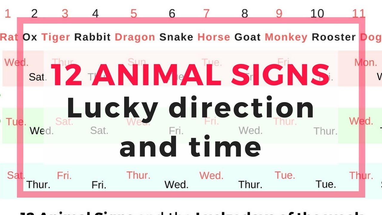 12 animal signs in Feng Shui - the lucky direction and time