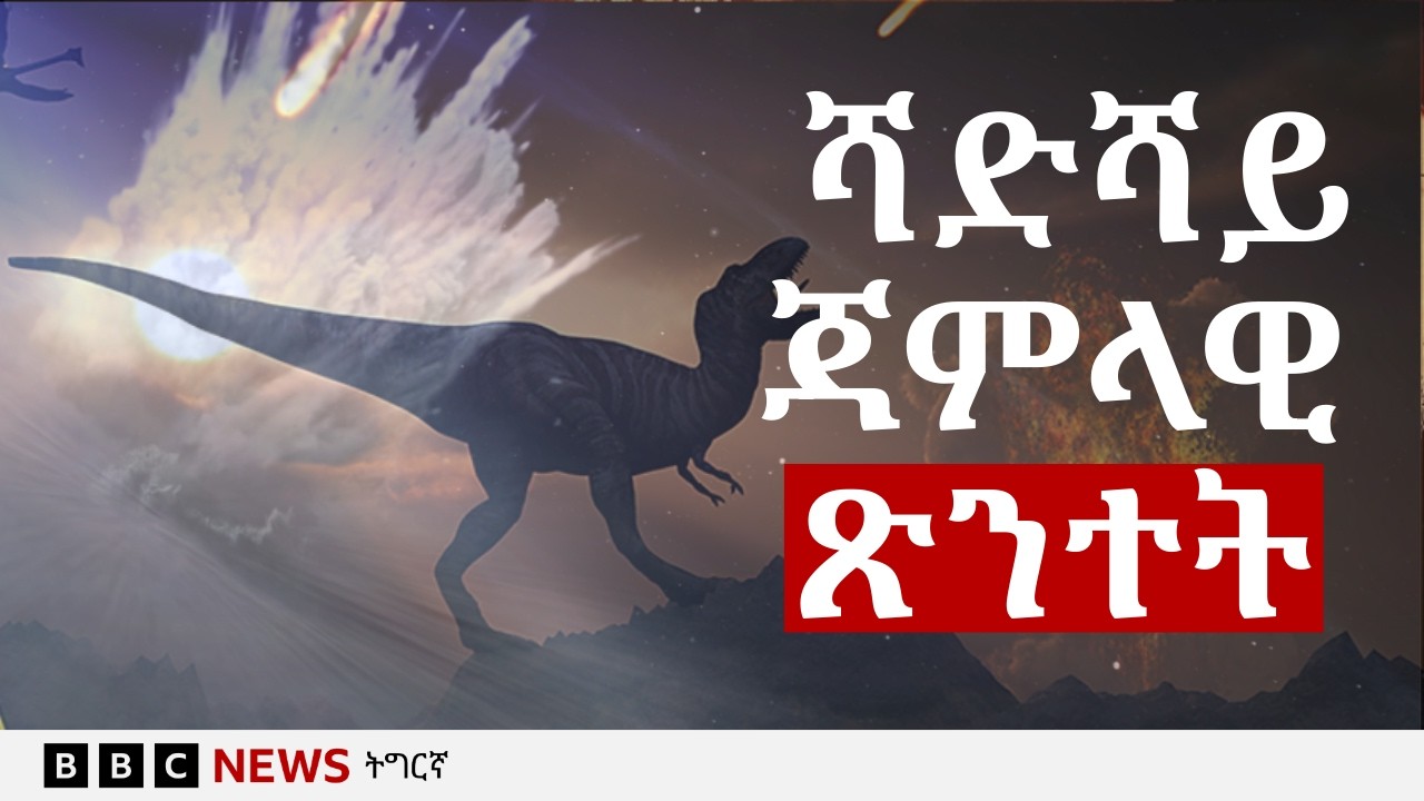 ኣብ ዘበነ-ጃምላዊ ጽንተት ዲና ንነብር ዘለና | BBC NEWS ትግርኛ