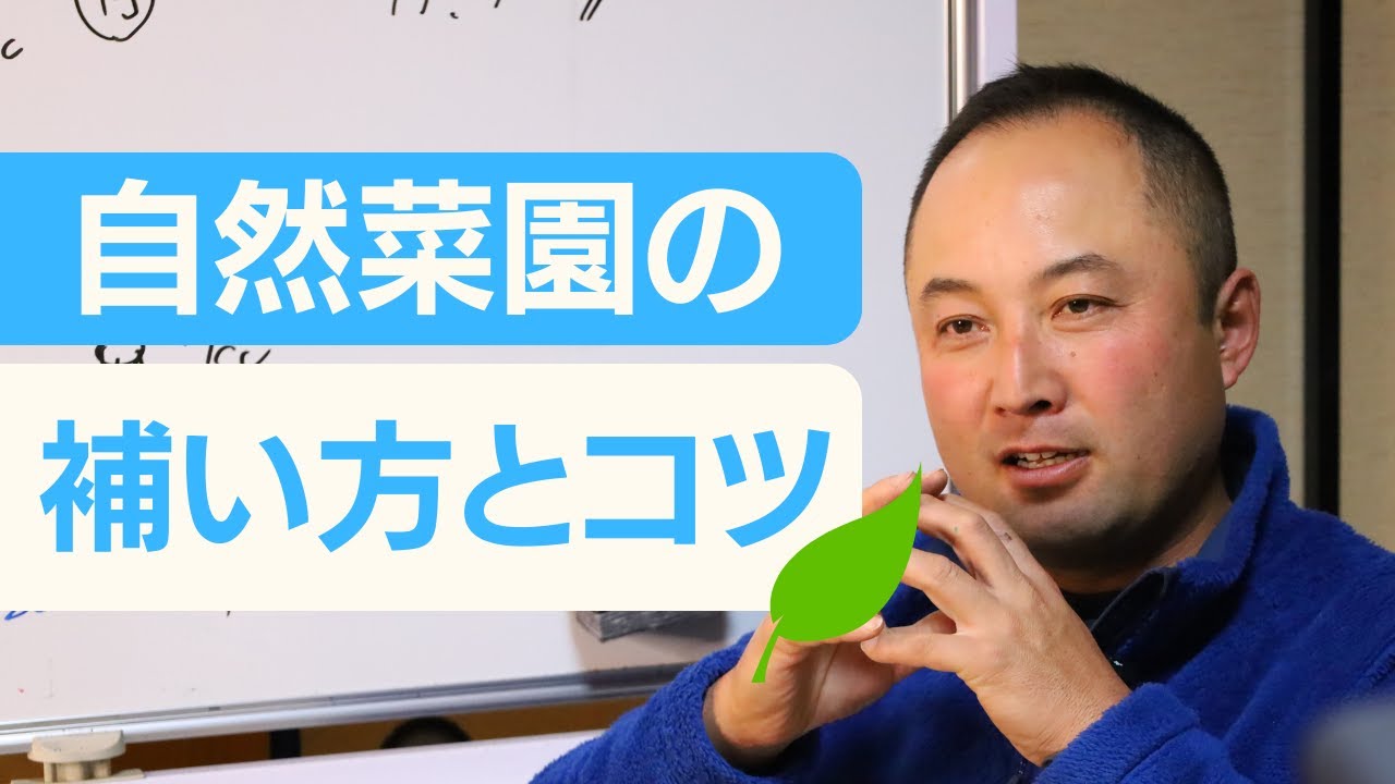 【自然菜園ミニセミナー23回】自然菜園の補い方のコツ