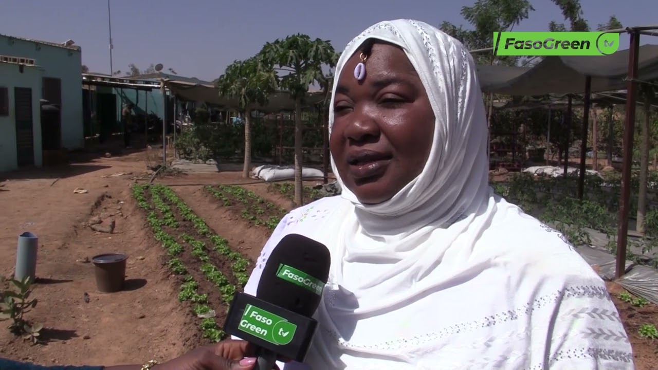 Centre international d’incubation d’agriculture Nouvelle Vision : une école de la terre pour tous