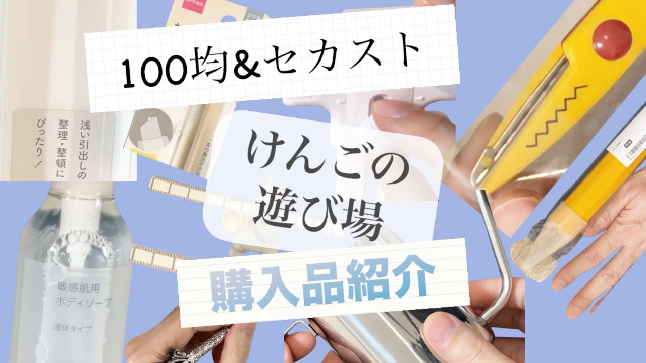 【購入品紹介】＃7 100均とセカスト　手帳周りと日用品