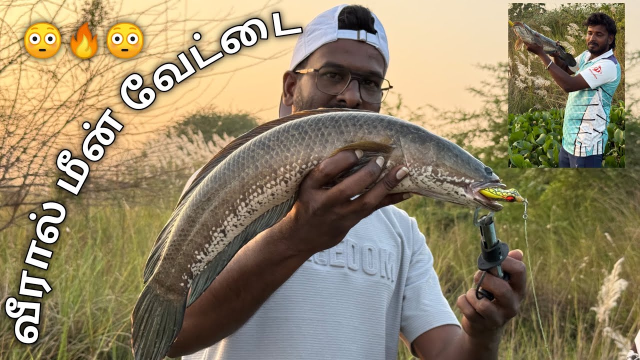 My Frist Snakehead Fishing Experience  |Veraneen Vicky | #fishing #viral #trending #video 
