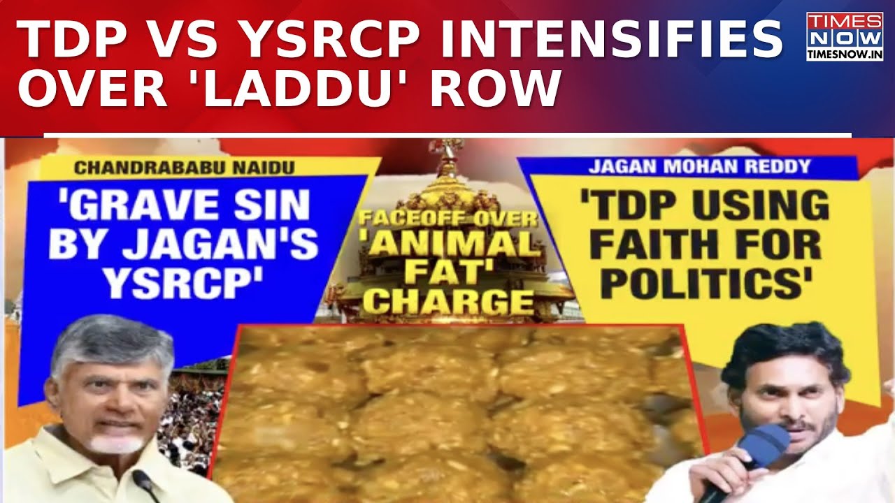 Row Over 'Animal Fat' In Tirupati Laddu, TDP Vows Action, YSRCP Moves Court, Strict Action Soon?