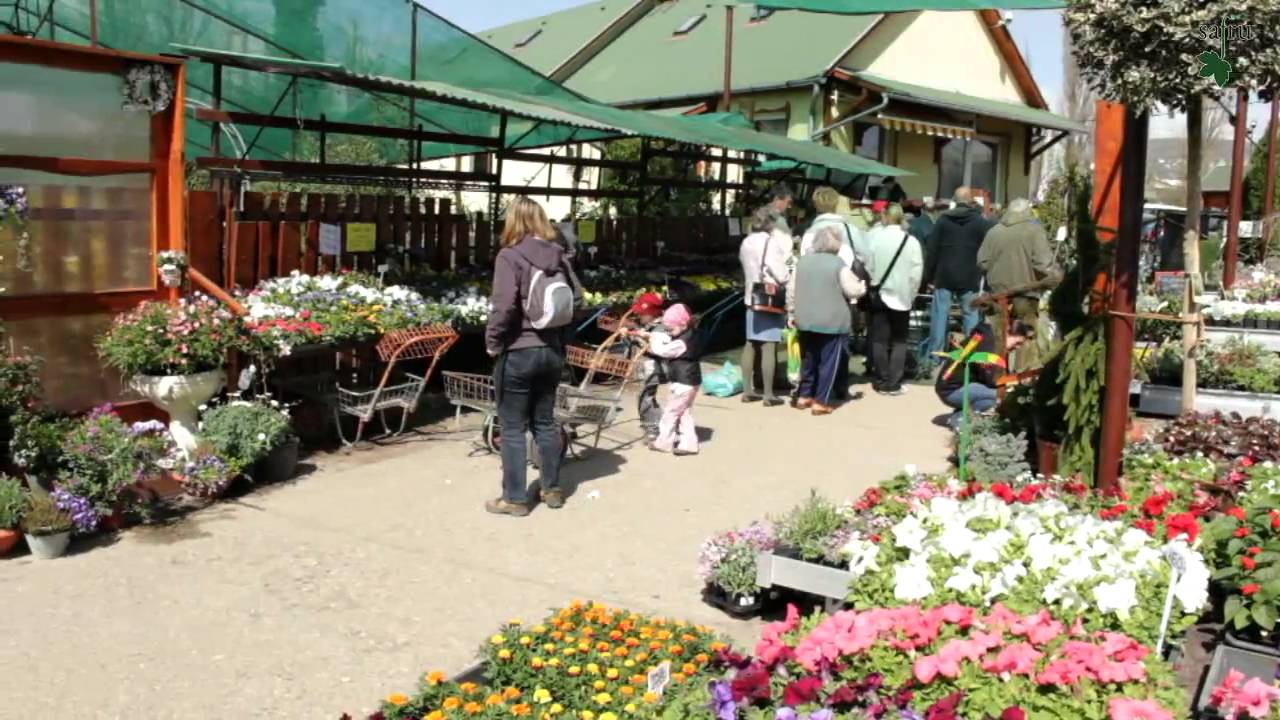 Kerttervez&eacute;s szakmai nap a Safruban