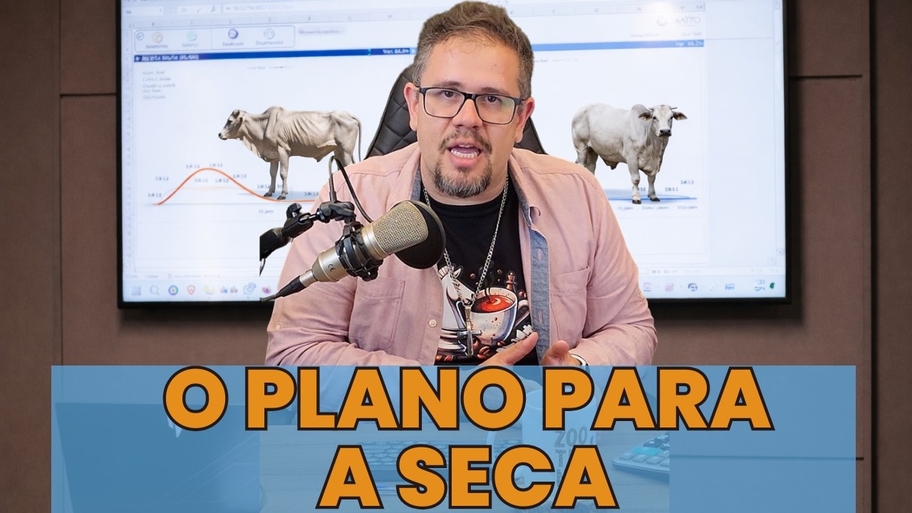 PLANEJAMENTO da seca na pecuária: como GANHAR DINHEIRO mesmo na ENTRESSAFRA