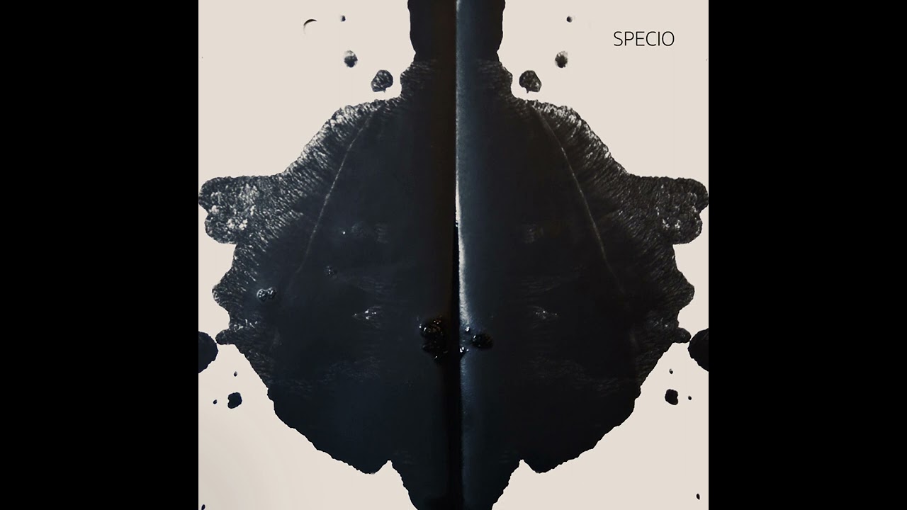 SPECIO  - Flux