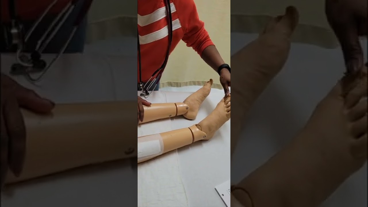 Évaluation initiale tête pieds