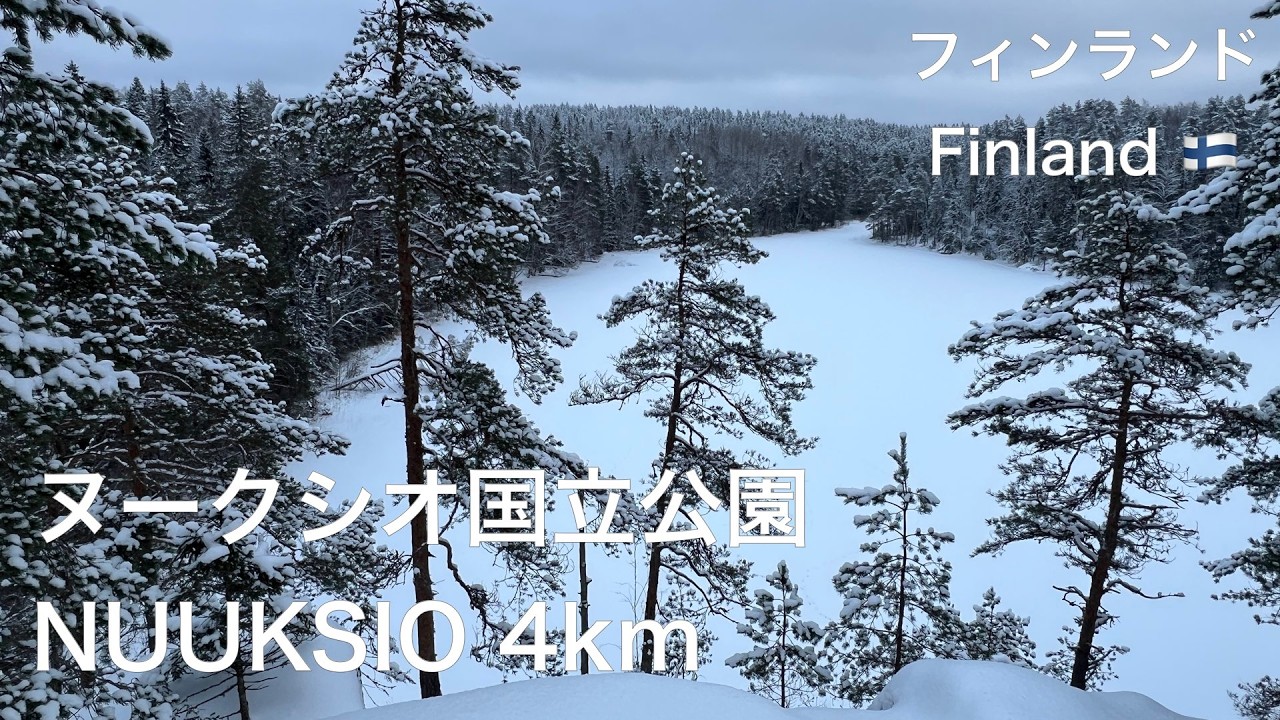 フィンランドのヌークシオ国立公園のタカ周回ルート4kmを厳冬期に訪れる　Nuuksion kansallispuisto 4km Haukankierros talvella 25.1.2026