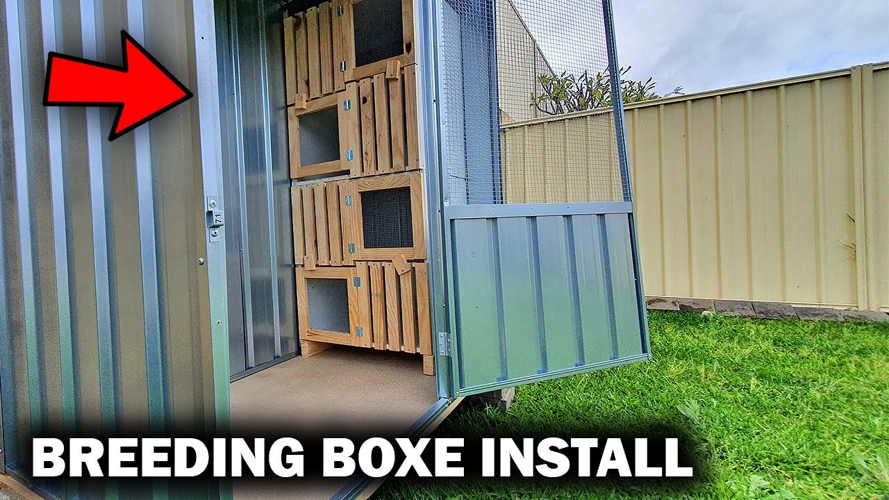 Nest Boxes into Breeding Loft