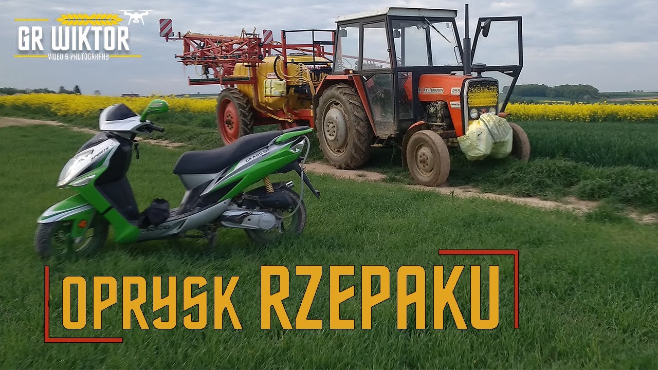 🇵🇱Oprysk na opadanie płatka w rzepaku 2021