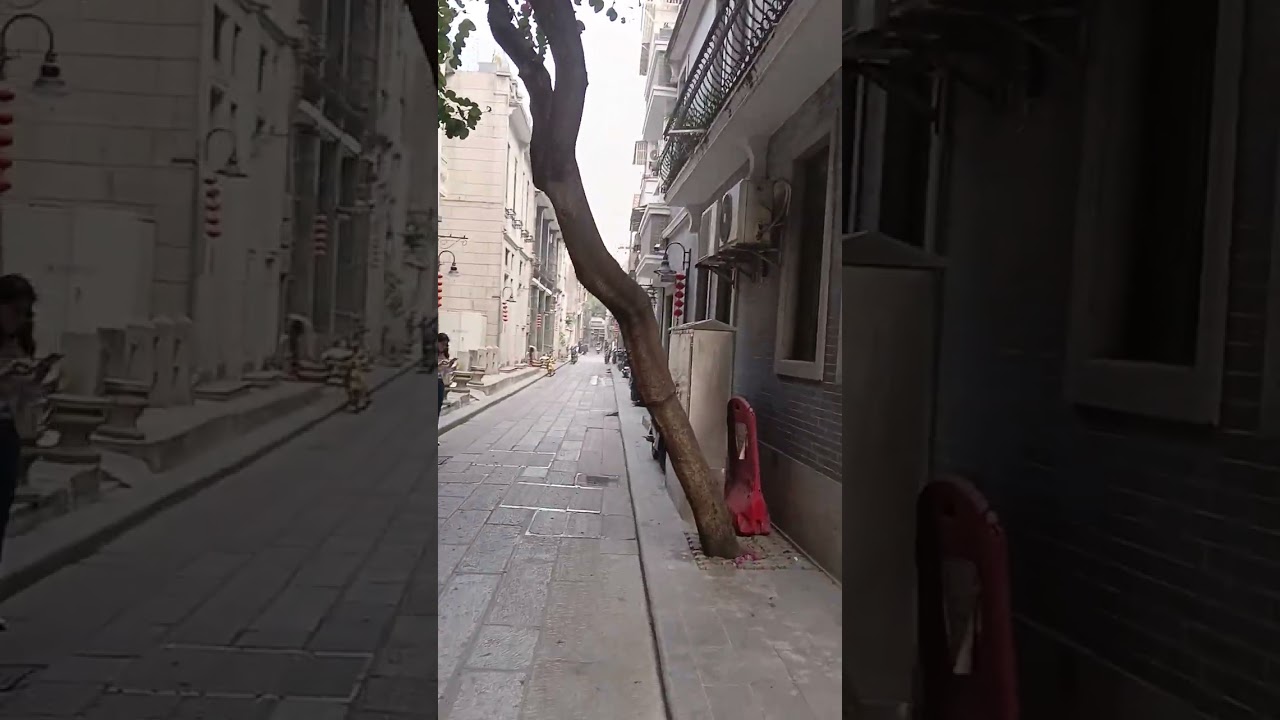 Liwan historical and traditional Guangzhou style buildings that China government is preserving