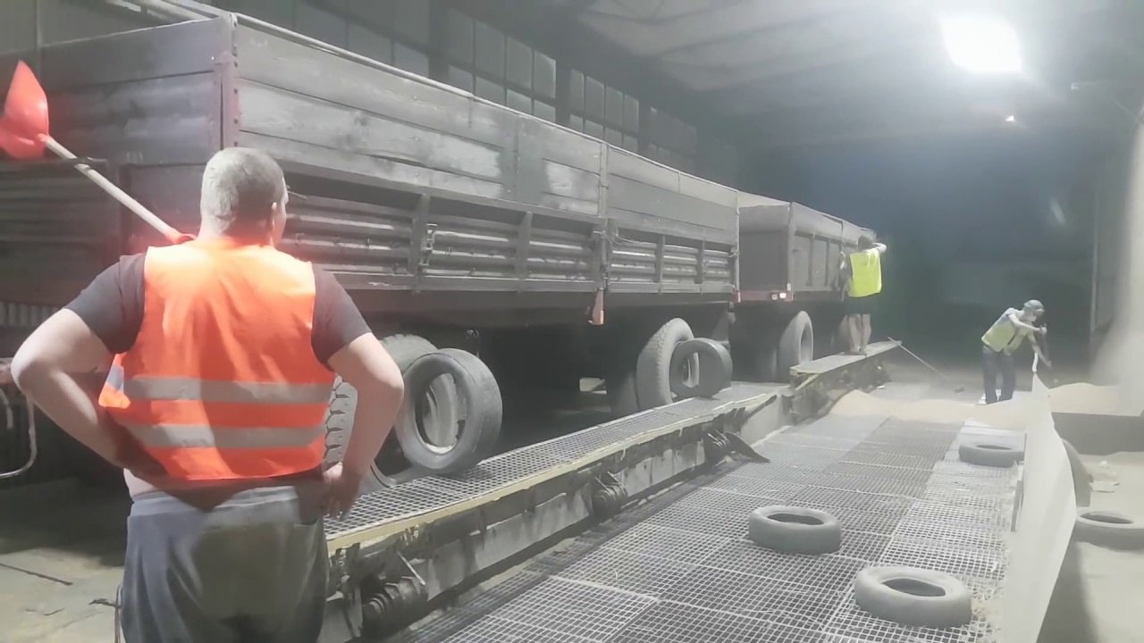 Żniwa 2017  zetor 16245 i 2x d83 30 ton pszenicy  wysyp