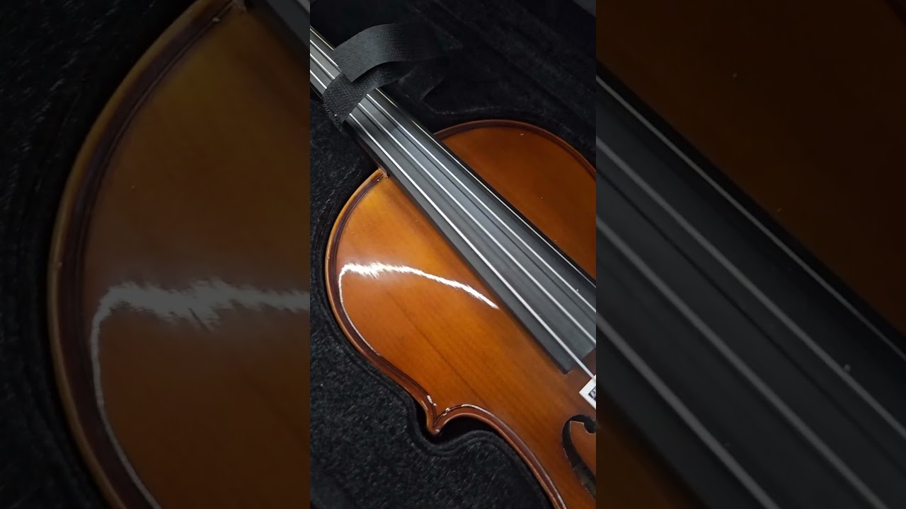 VIOLINO Erudithus HV100 I HPG Musical