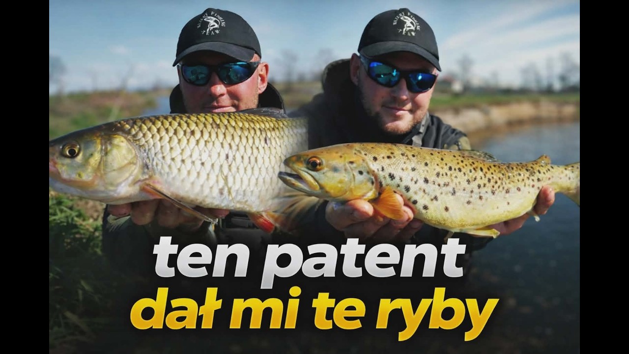 MEGA SKUTECZNY PATENT NA PSTRĄGA I KLENIA!