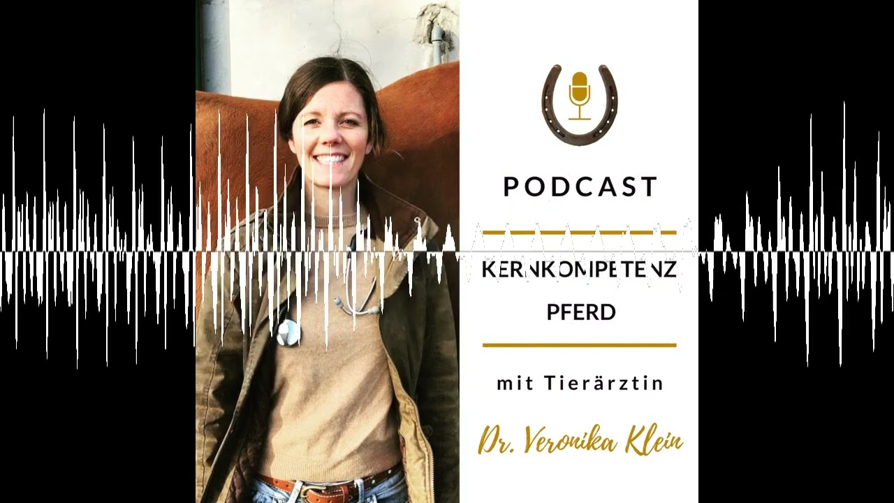 KI im Kernkompetenz Pferd Alltag - Kreativitäts-Killer oder Entlastung
