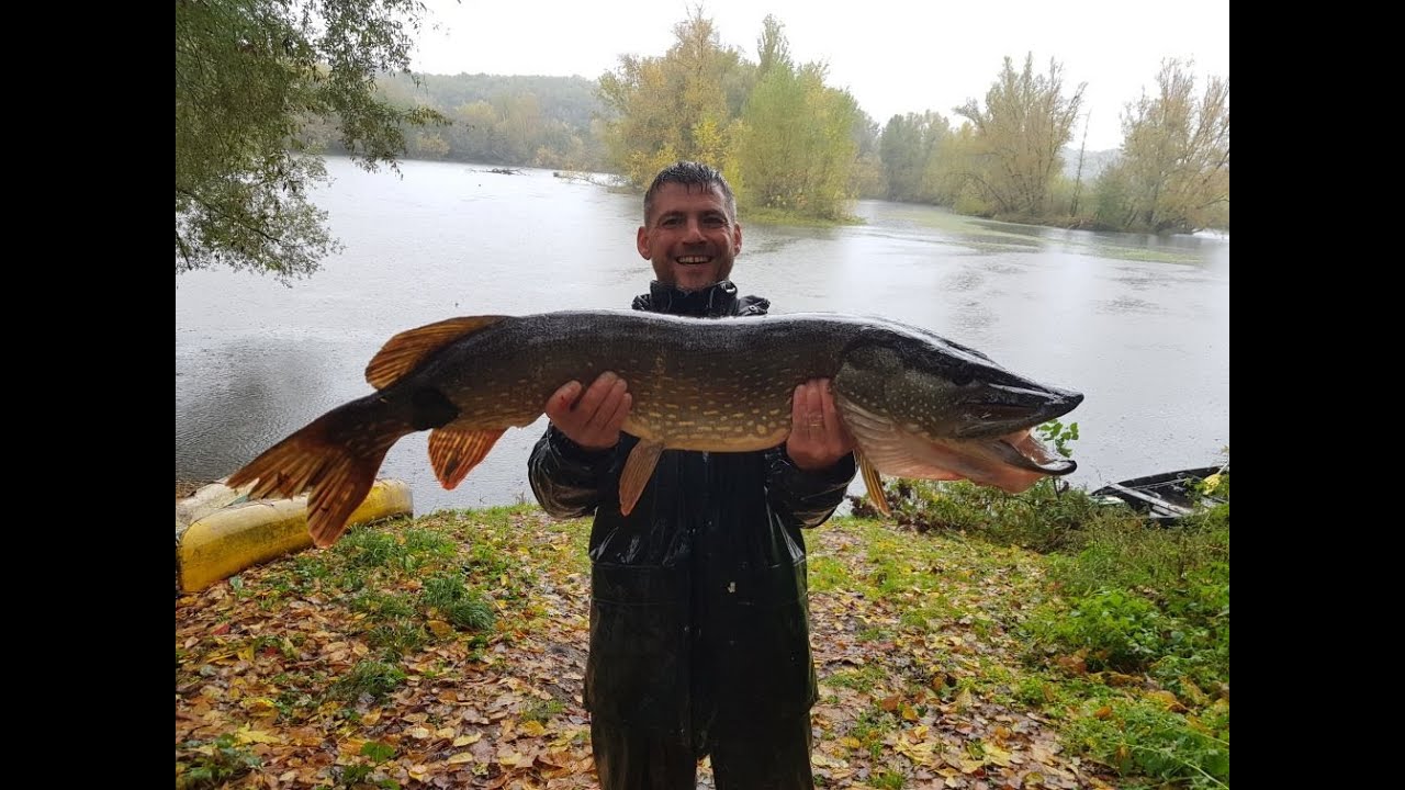 BROCHET GEANT RECORD ENORME SESSION 7 BROCHETS